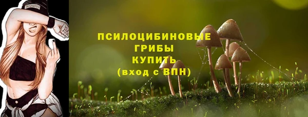 амфетамин Няндома